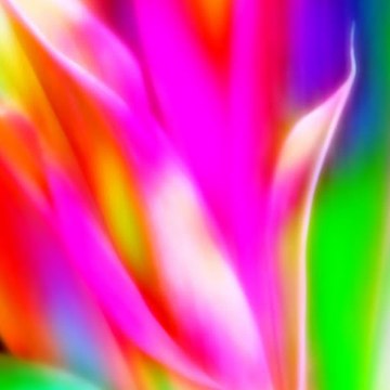 Bion