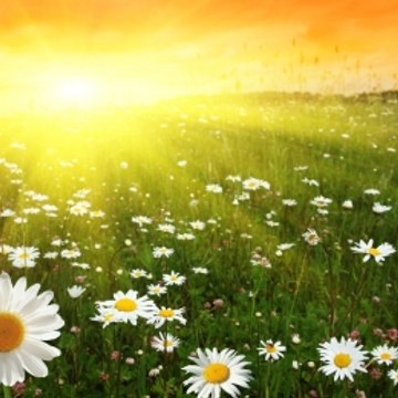 Ольга Семенова