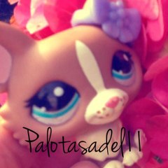 Palotasadel11