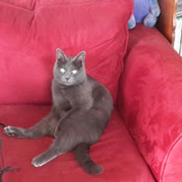 Huuummm le Sud Passion