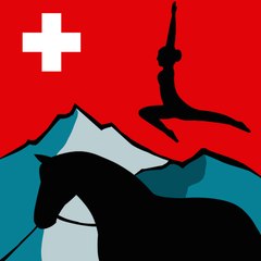 CVI Bern