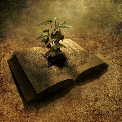 Unbelievable by JACOBS