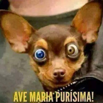 Conchi Belmonte Garcia