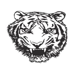 Tiger Shadow Muay Thai