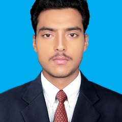 Ameer Ali
