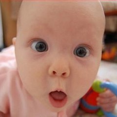 Funny Viral Videos
