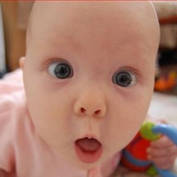 Funny Viral Videos