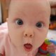 Funny Viral Videos