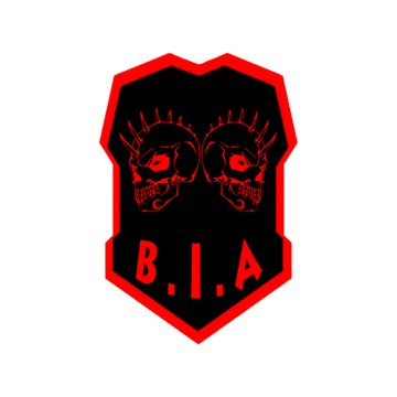 Brother In Arms | french airsoft team