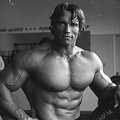 Arnold schwarzenegger motivation