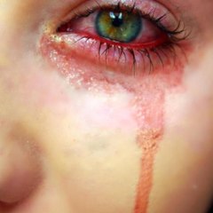 All Dramas Collection