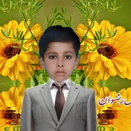 Muhammad Ans Rizwan