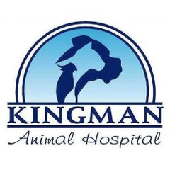 Kingman Animal Hospital