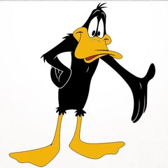 Animation Series