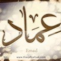 Immad Ismail