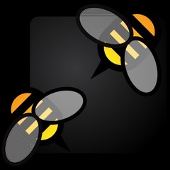 Project Video
