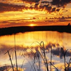 Ferventwater
