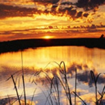 Ferventwater