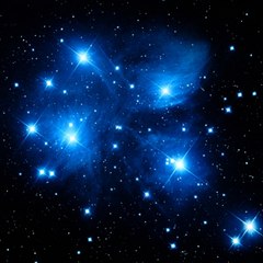 Stars