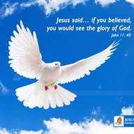 Christian News Network