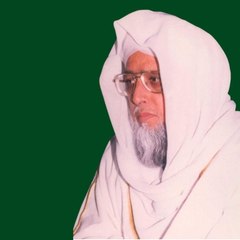 Haseeb noor Mujaddadi