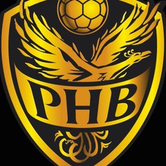 Porterie HandBall officiel