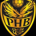 Porterie HandBall officiel