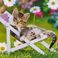 NancyKitty