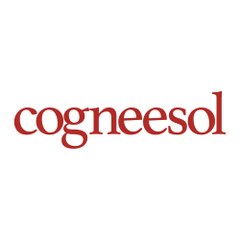 Cogneesol - Business Process Outsourcing Company