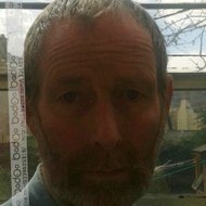 Fred Blogs Kingb662FRED