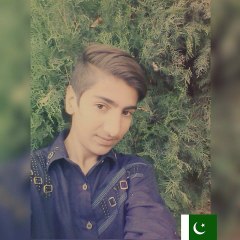 Amir Sohail