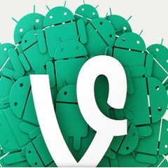 The Best Vine