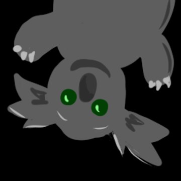 Koala EnChocolat