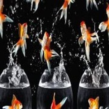 Shortfilms