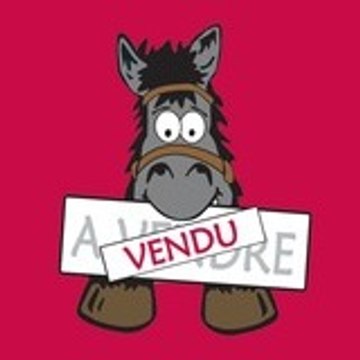 www.equirodi.com