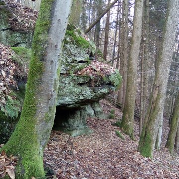 L'écho du Bitcherland