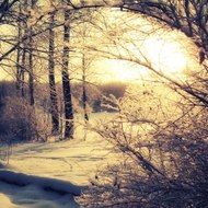 My Crazy Beautiful Life