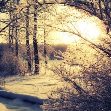 My Crazy Beautiful Life