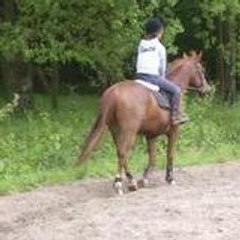 Adèle