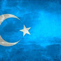 Ashrafhamamcioglu93