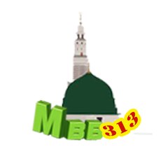 Mbb313