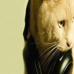 Shortfilms