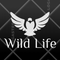 Wild Life