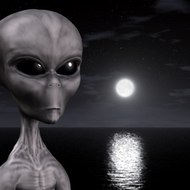 Paul Alien