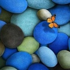 Fairy Tale