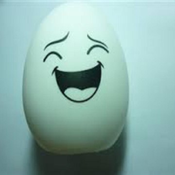 Funny Videos