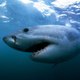 Underwaterworld777
