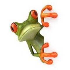 Animals Cartoon
