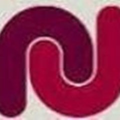 Niche Consulting and Recruitment