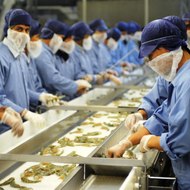 National Aquaculture Group (NAQUA)